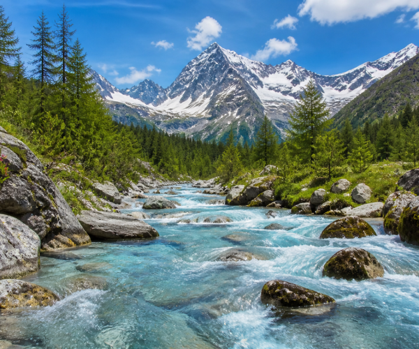Puzle Río de montaña